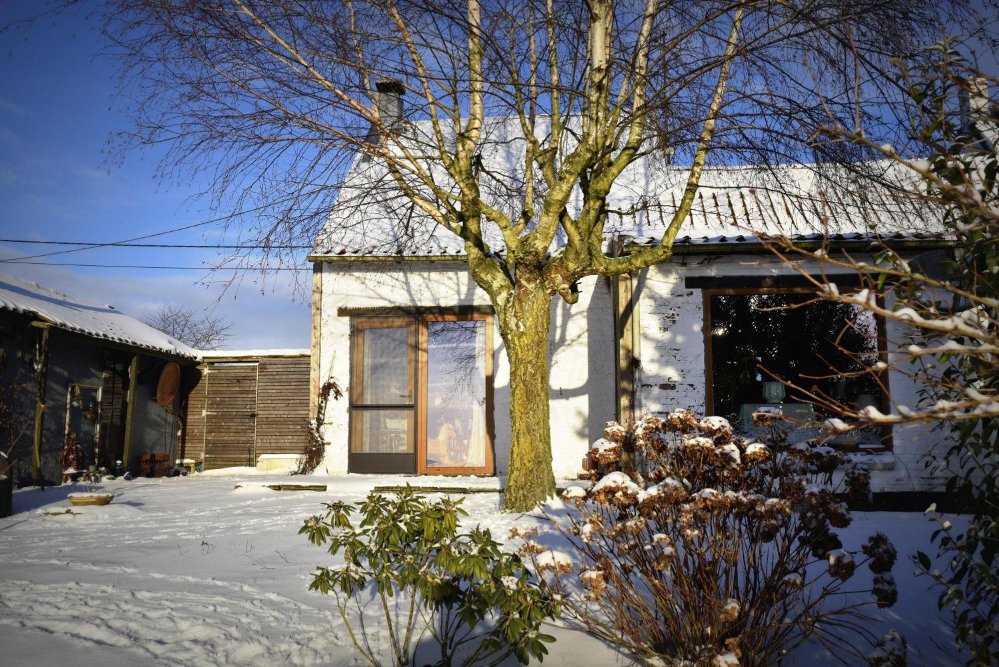 Maison Jeanny, Full House With Big Garden Frasnes-lez-Anvaing Zewnętrze zdjęcie
