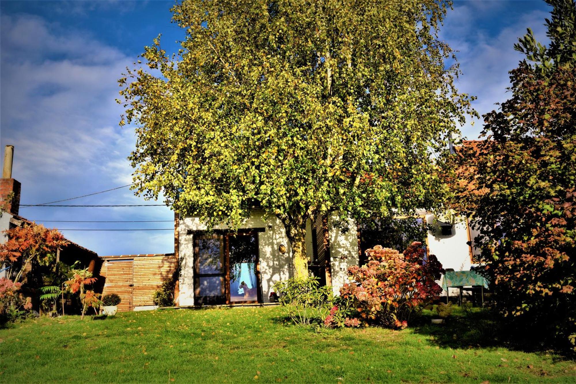 Maison Jeanny, Full House With Big Garden Frasnes-lez-Anvaing Zewnętrze zdjęcie